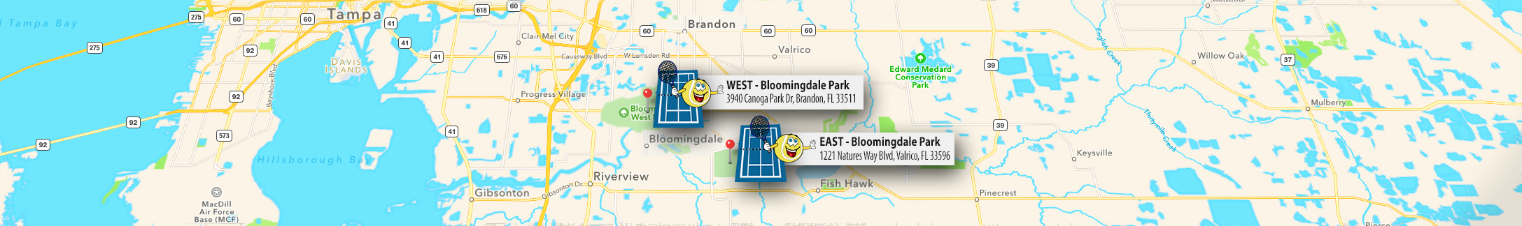 Image Map of Bloomingdale locations